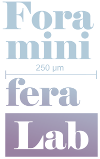 Foraminifera Lab