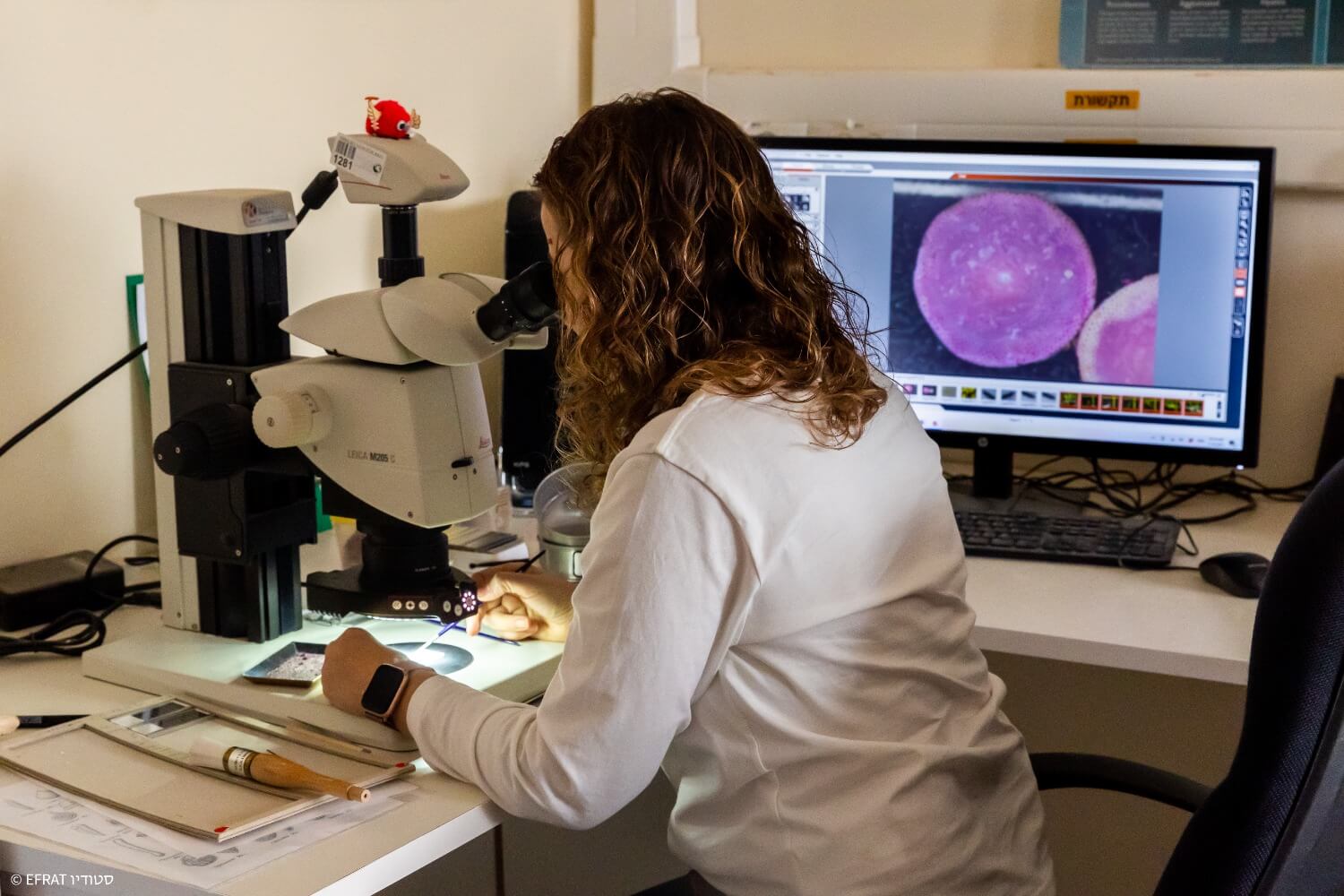 Dr. Sarit Ashckenazi-Polivoda